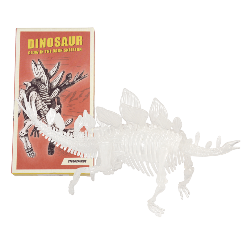 Bastel-Set 'Dinosaurier-Skelett