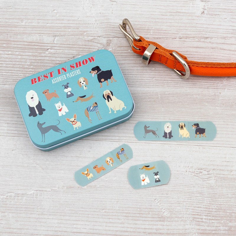 Pflaster-Set 'BEST IN SHOW'