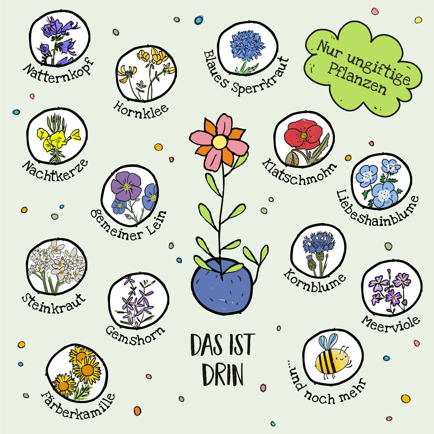 1er Blumenmurmel 'Ellas Duftgarten'