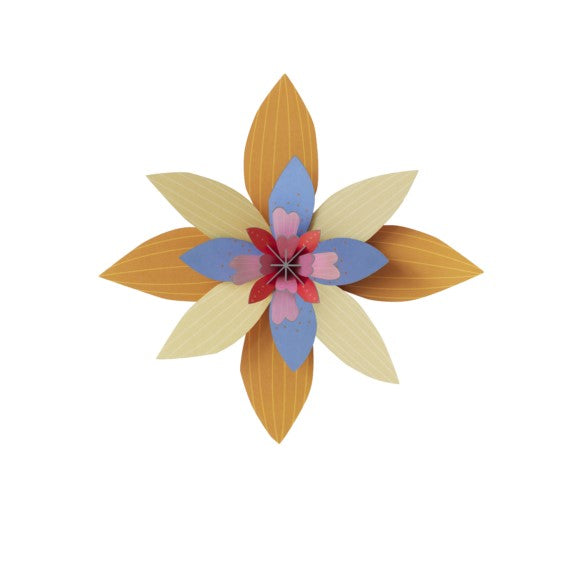 Studio ROOF 'Apricot Sorbet'