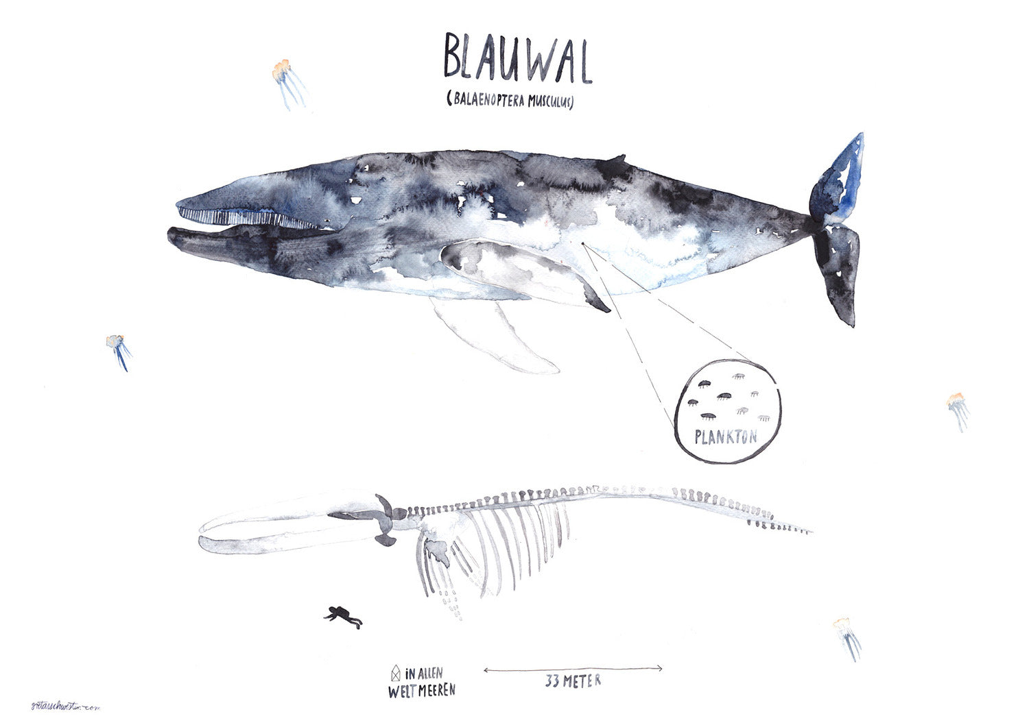Poster 'BLAUWAL' GretasSchwester