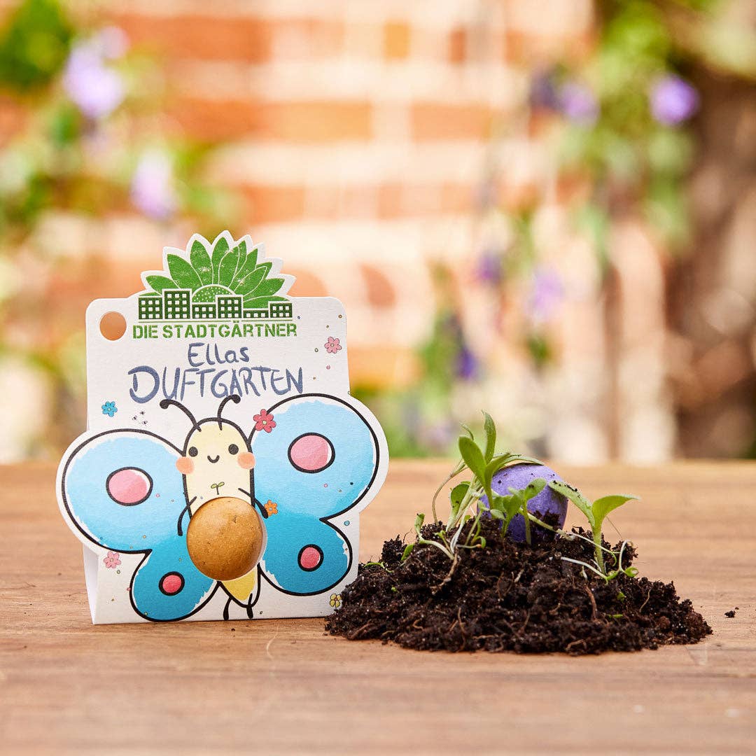 1er Blumenmurmel 'Ellas Duftgarten'