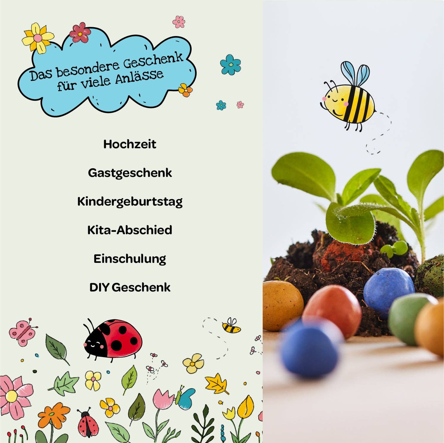 1er Blumenmurmel 'Ellas Duftgarten'