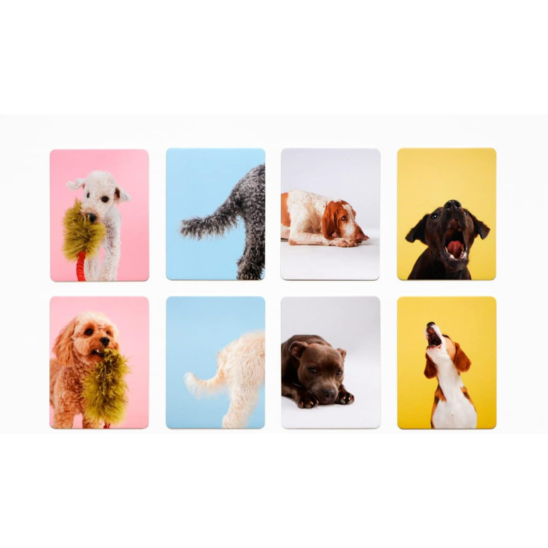 Memo-Spiel 'Hundesprache'