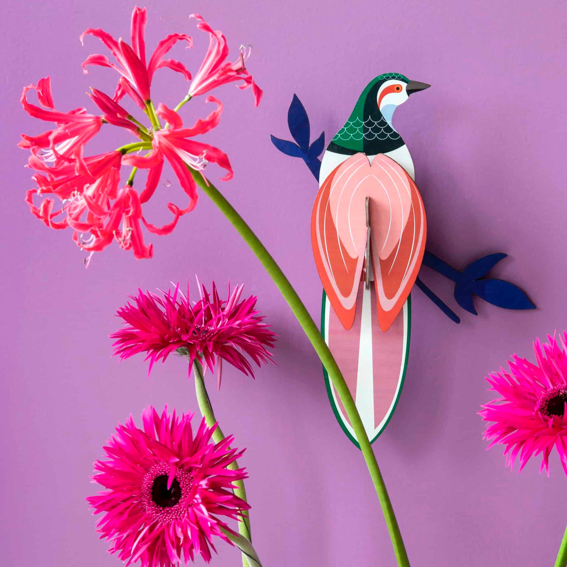 Studio ROOF 'Paradise Bird - Rani'