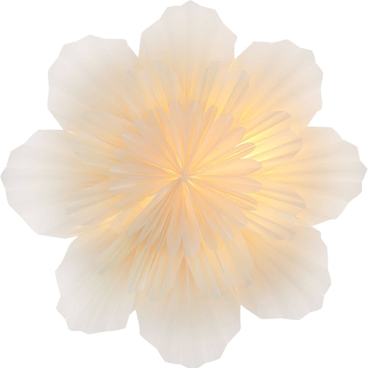 Mea-Living - 'Stella-Azalea', Pergamentpapier weiß 40 cm