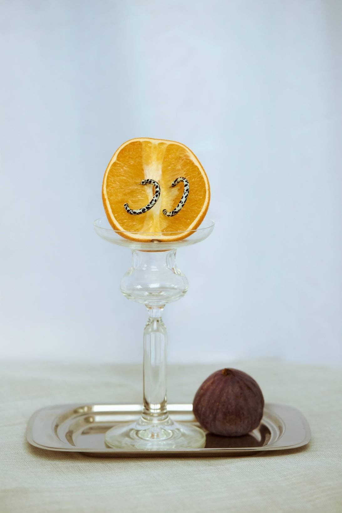 Ohrringe - Loop Dott Sasstie