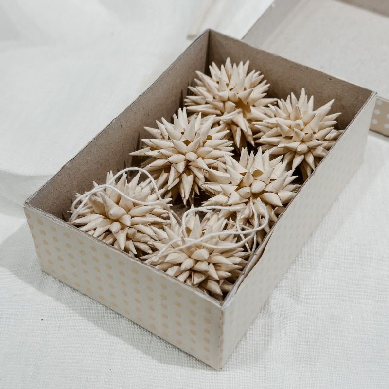 Stern Mini Kotte 6er Set aus Papier - beige