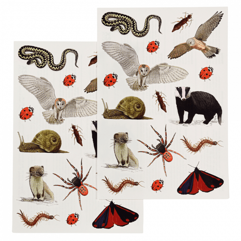 Tattoos 'Nature Trail'