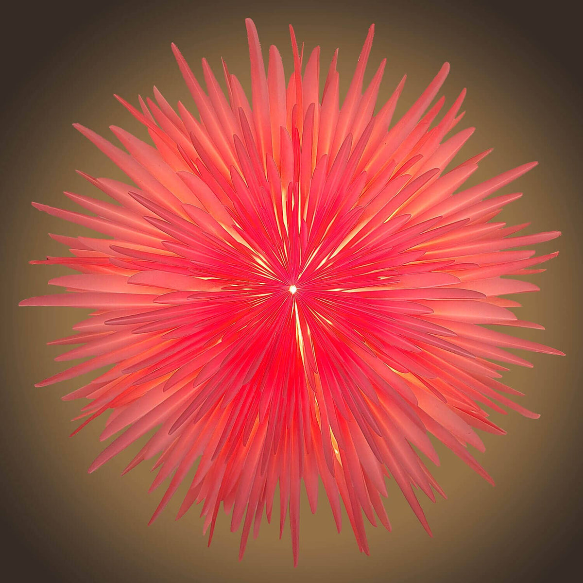 Mea-Living - 'Stella-Dalia', Pergamentpapier rosa 60 cm