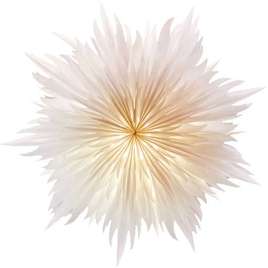 Mea-Living - 'Stella-Magnolia', Pergamentpapier weiß 40 cm