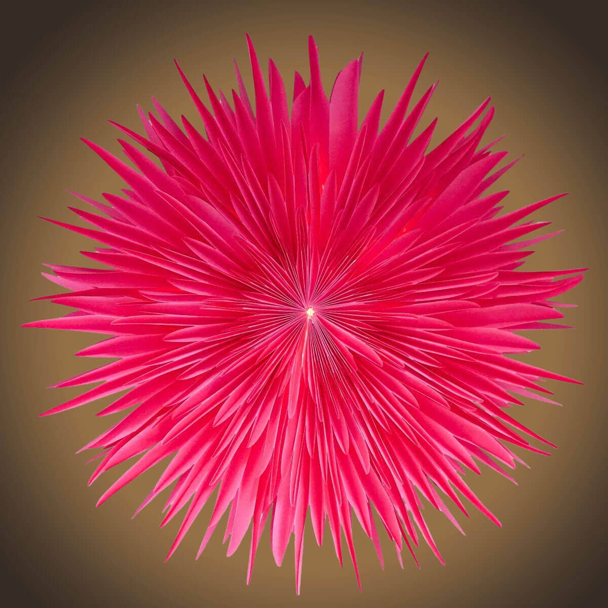 Mea-Living - 'Stella-Dalia', Pergamentpapier pink 60 cm