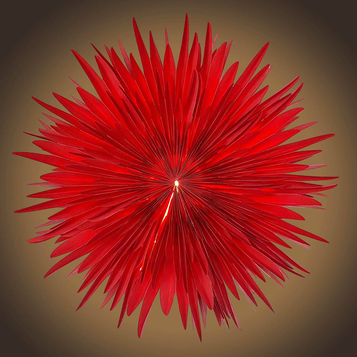 Mea-Living - Stella-Dalia, Pergamentpapier rot 60 cm