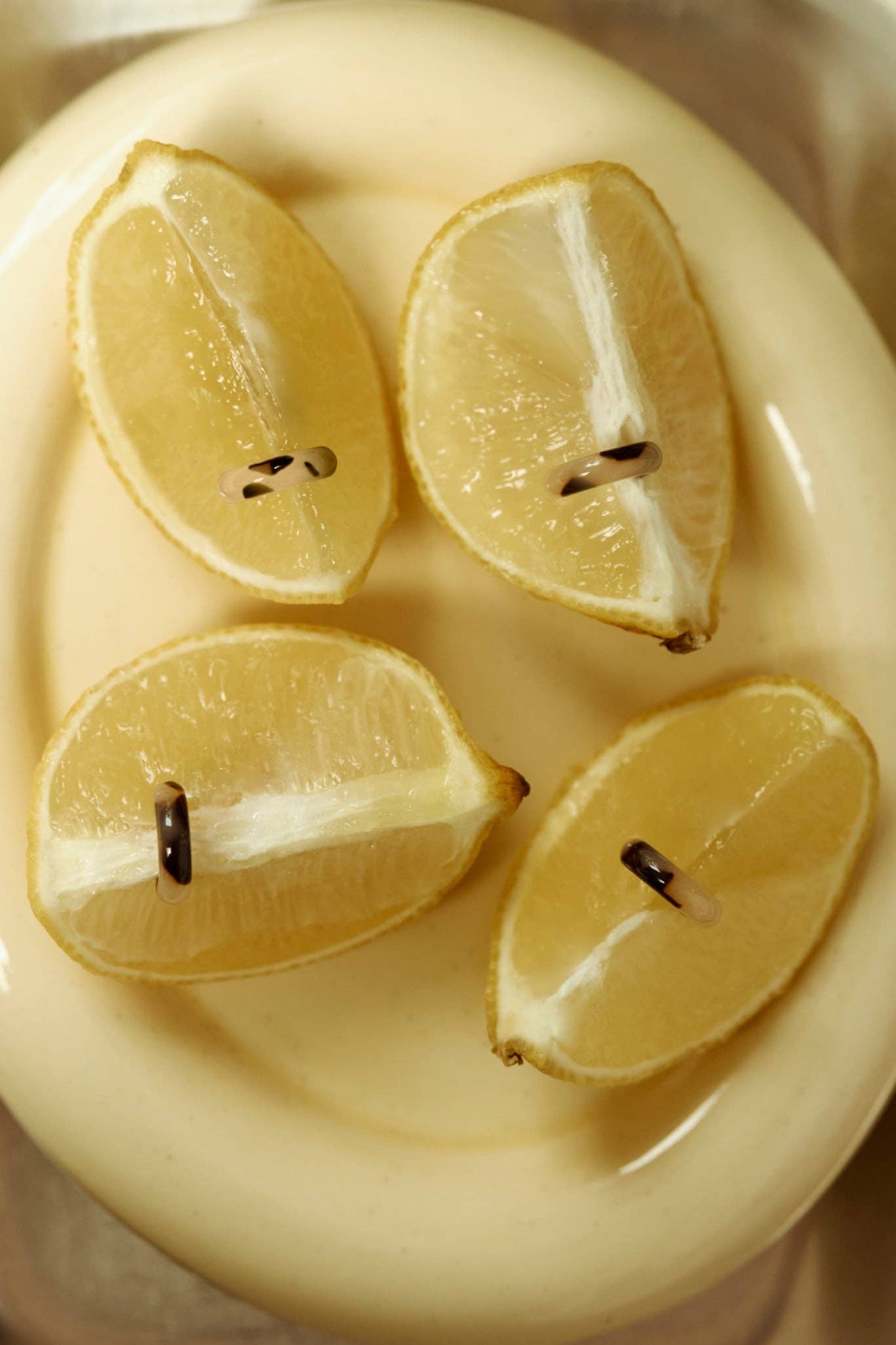 Ohrringe - Charme Cheetah Sasstie