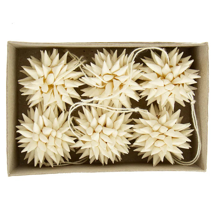 Stern Mini Kotte 6er Set aus Papier - natur