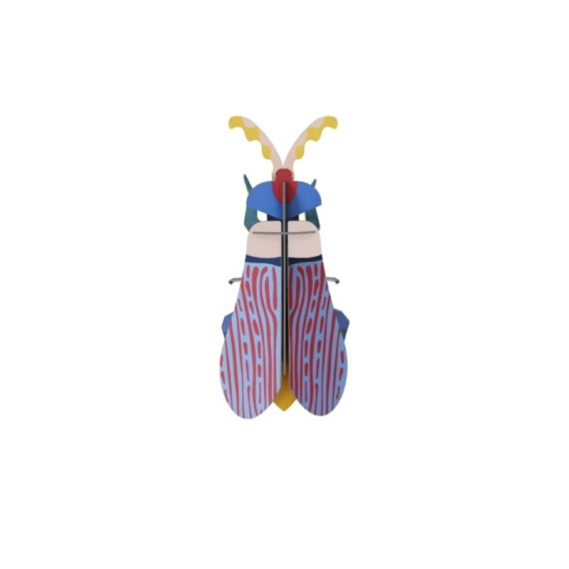 Studio ROOF 'Striped Wing Beetle'