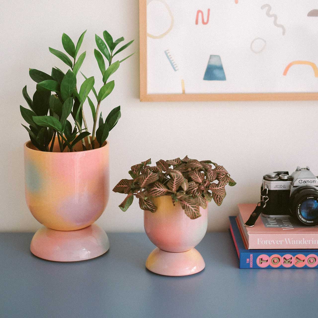 EUPHORIA Minipflanztopf und Untersetzer von Temple Ceramic