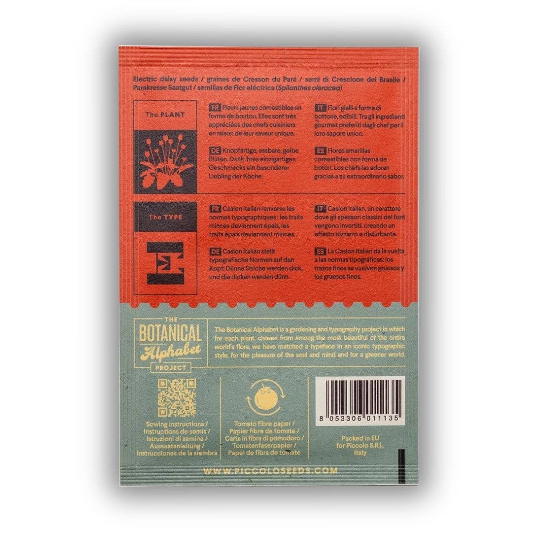 E - Electric Daisy  Piccolo Seeds