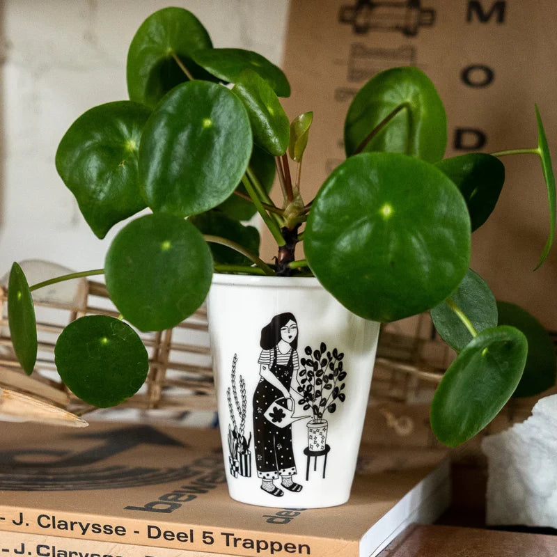 helen b Becher 'plant lover'