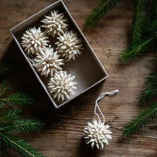 Stern Mini Kotte 6er Set aus Papier - natur