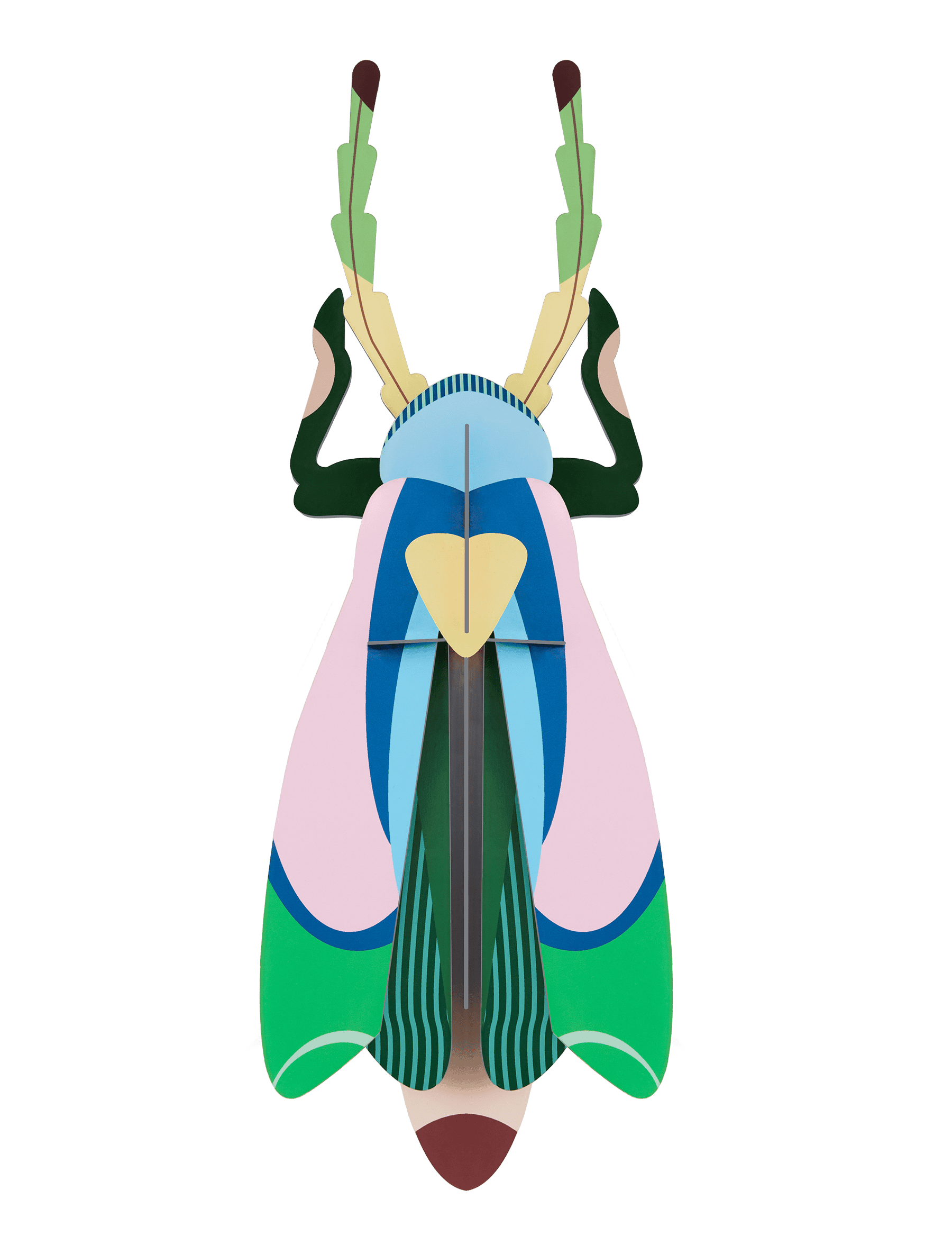 Studio ROOF 'Big insects - Sakura Beetle'